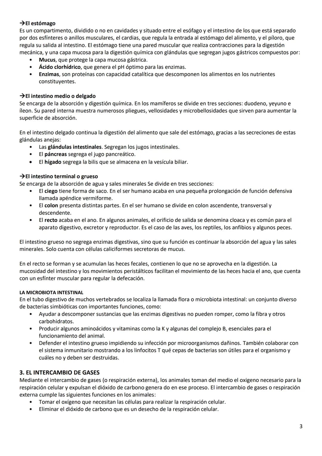 2. LA OBTENCIÓN DE NUTRIENTES ORGANICOS
Los procesos que deben llevar a cabo los animales para obtener nutrientes orgánicos son la captura e