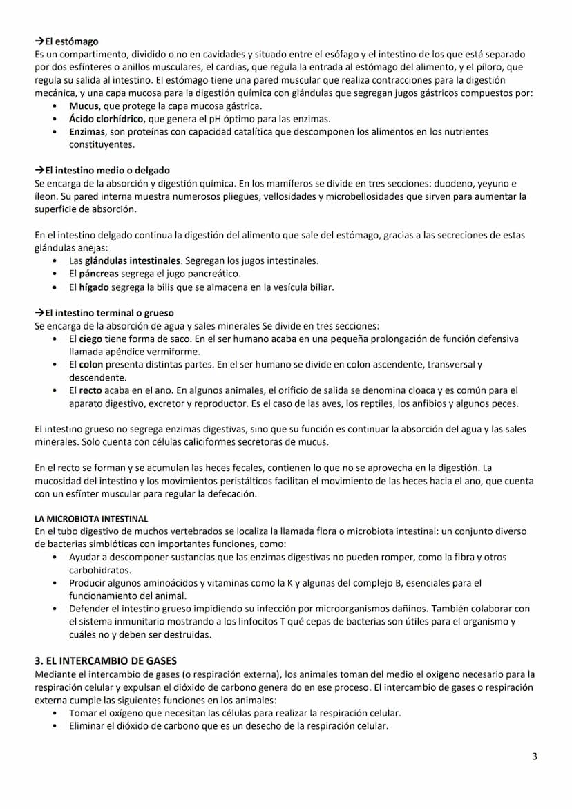 2. LA OBTENCIÓN DE NUTRIENTES ORGANICOS
Los procesos que deben llevar a cabo los animales para obtener nutrientes orgánicos son la captura e