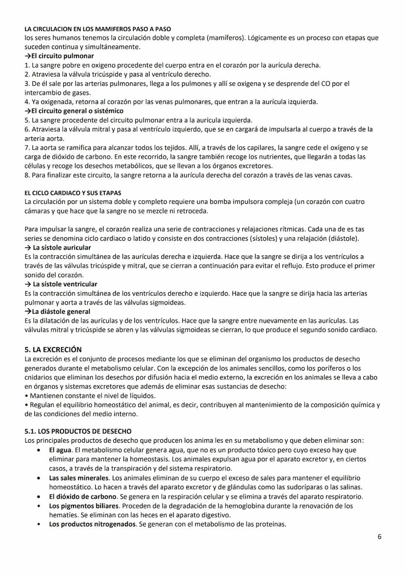 2. LA OBTENCIÓN DE NUTRIENTES ORGANICOS
Los procesos que deben llevar a cabo los animales para obtener nutrientes orgánicos son la captura e