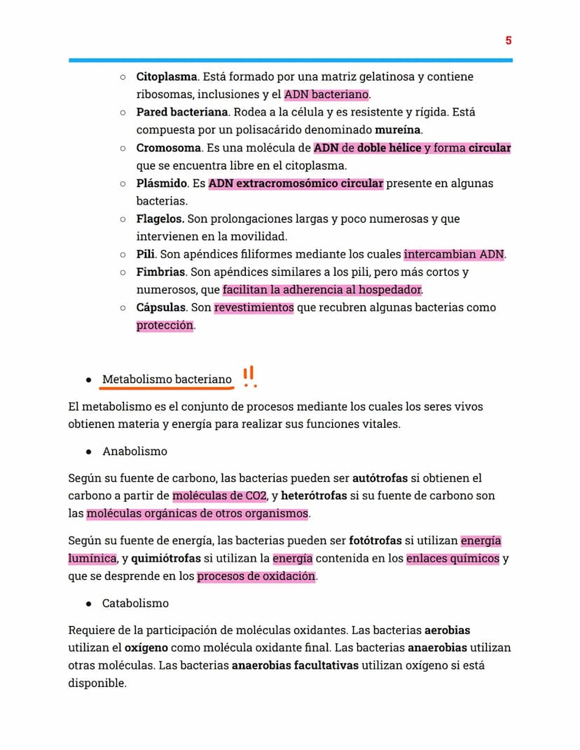 Apuntes unidad 7
Biología: microorganismos y formas acelulares.
Microorganismos: concepto y diversidad
• Los microorganismos son un grupo de