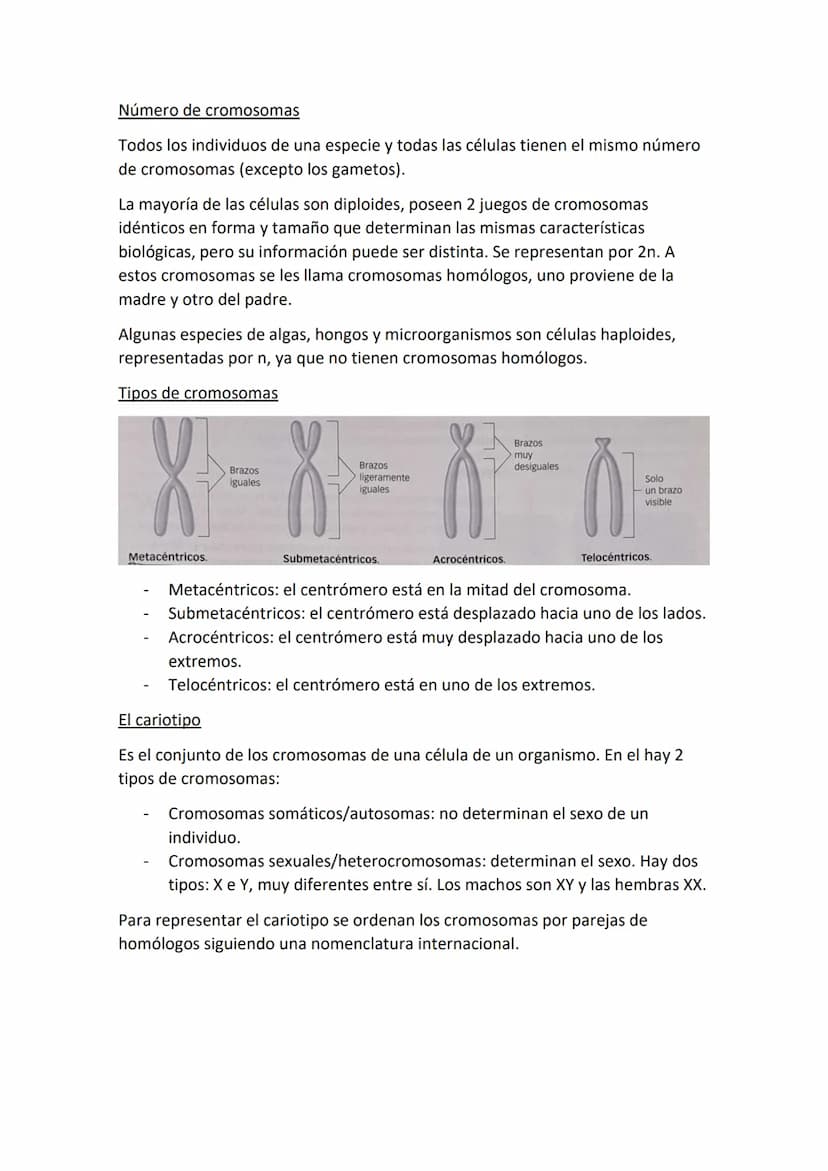 Partes de una célula
- Membrana plasmática: estructura externa que delimita a la célula y la aísla del
mundo externo. Regula el paso de sust