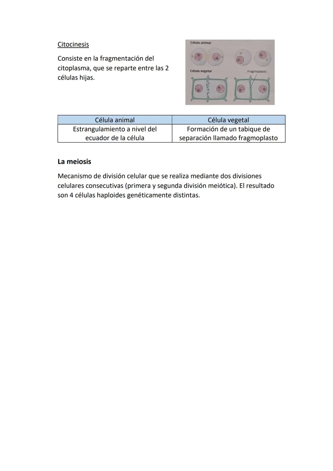Partes de una célula
- Membrana plasmática: estructura externa que delimita a la célula y la aísla del
mundo externo. Regula el paso de sust