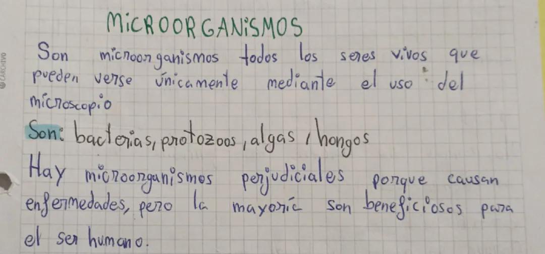 Introducción a los Microorganismos: Su Importancia y Características