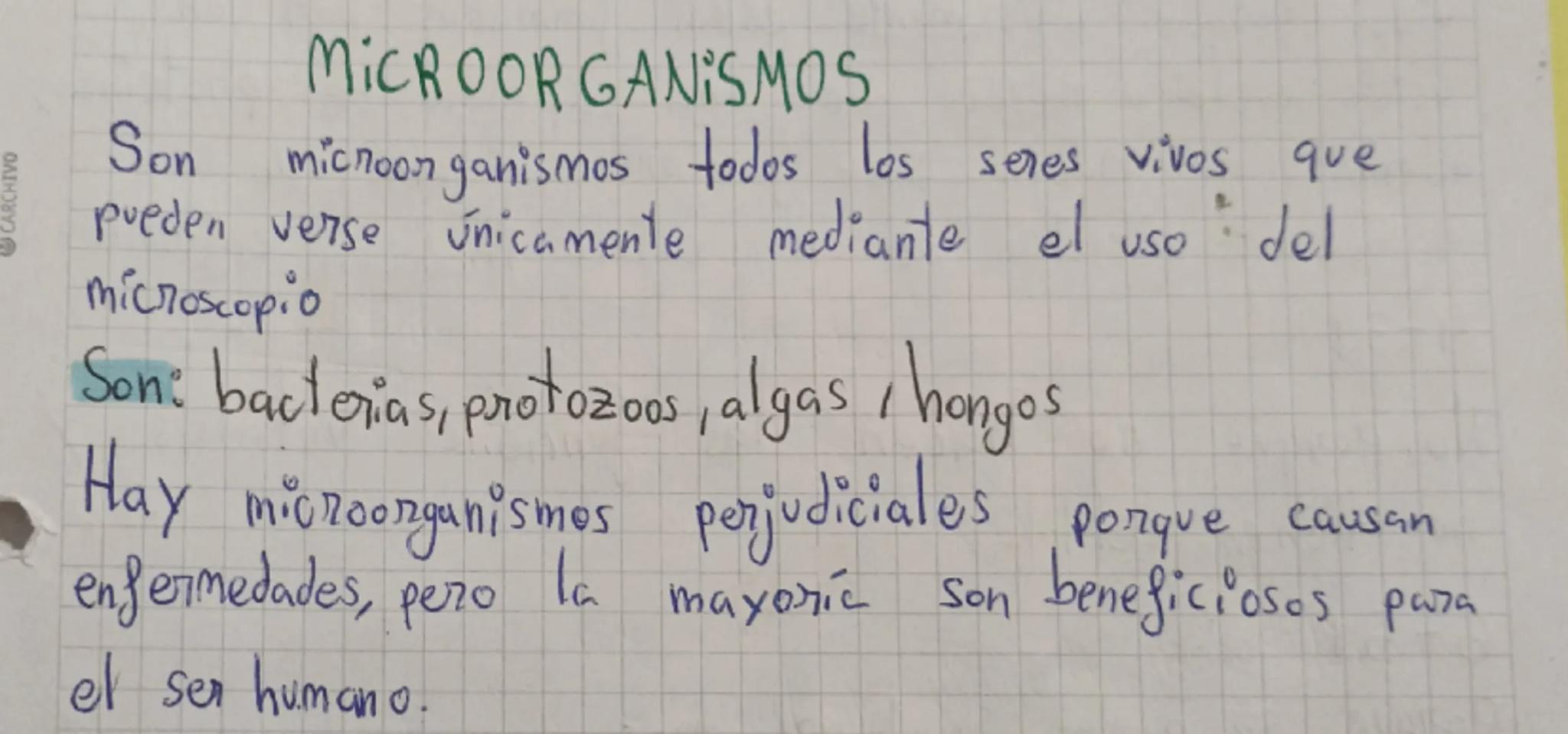 # MICROORGANISMOS

Son microorganismos todos los seres vivos que
pueden verse únicamente mediante el uso del
microscopio

Son: bacterias, pr