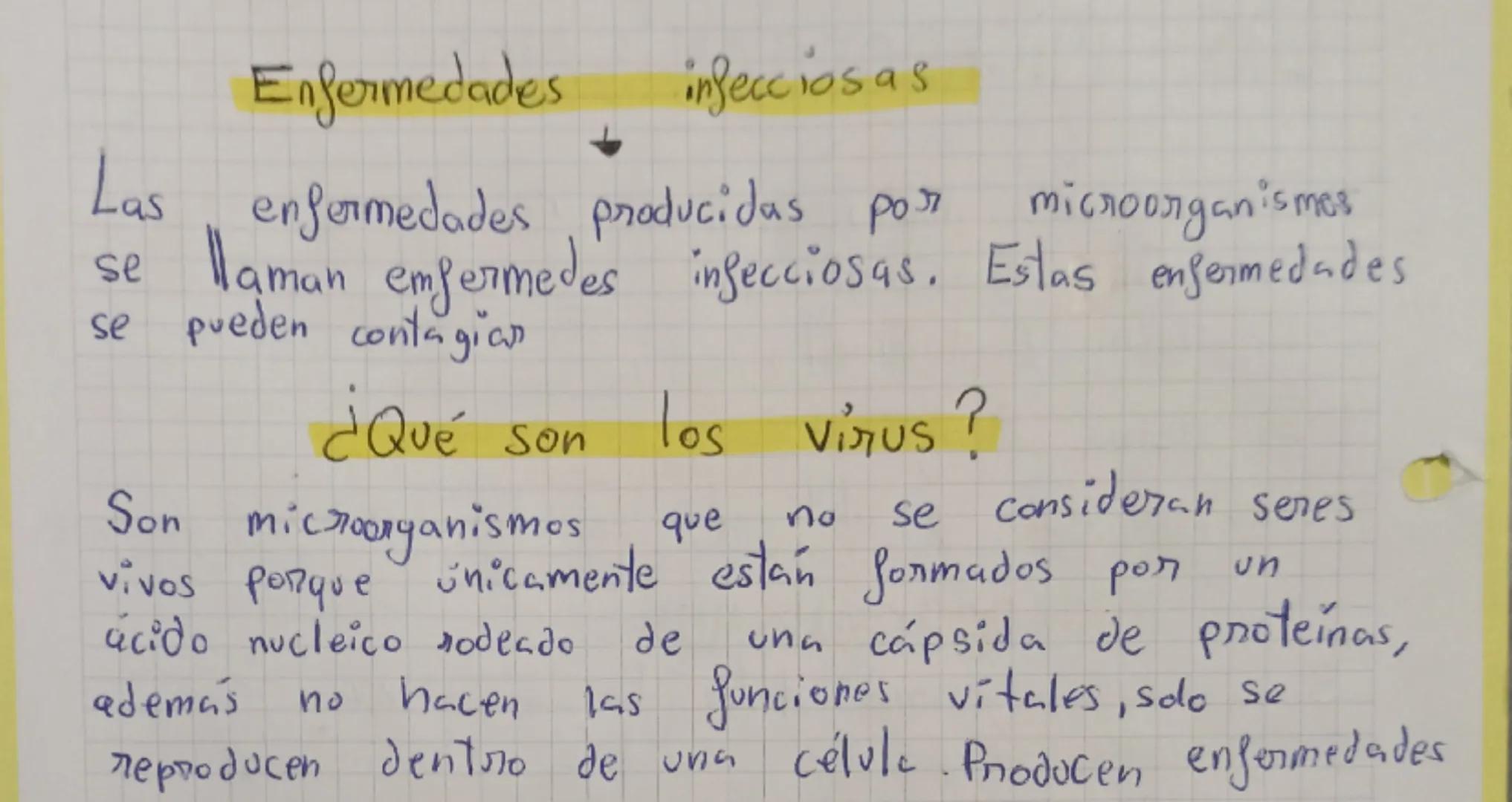 # MICROORGANISMOS

Son microorganismos todos los seres vivos que
pueden verse únicamente mediante el uso del
microscopio

Son: bacterias, pr