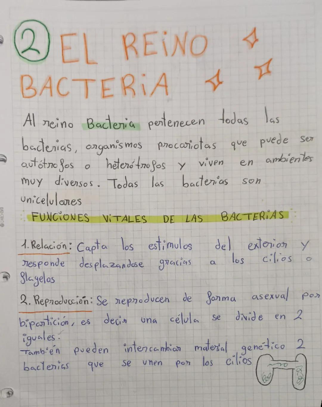 # MICROORGANISMOS

Son microorganismos todos los seres vivos que
pueden verse únicamente mediante el uso del
microscopio

Son: bacterias, pr