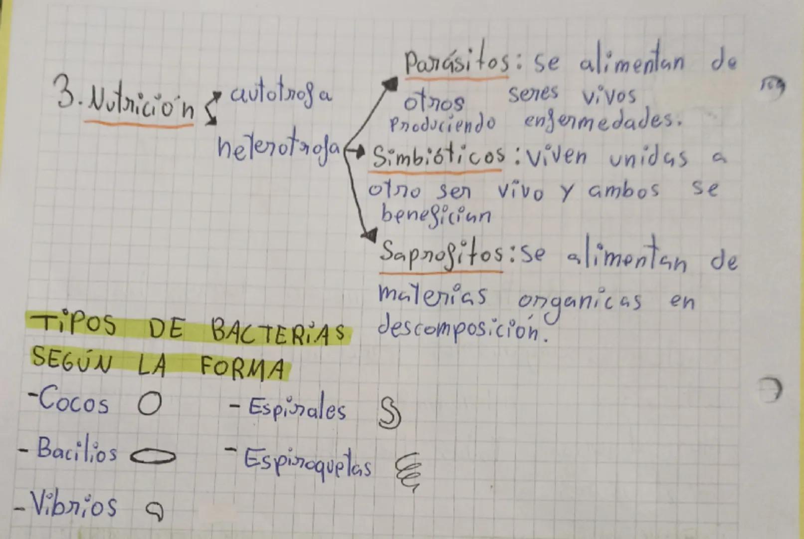 # MICROORGANISMOS

Son microorganismos todos los seres vivos que
pueden verse únicamente mediante el uso del
microscopio

Son: bacterias, pr