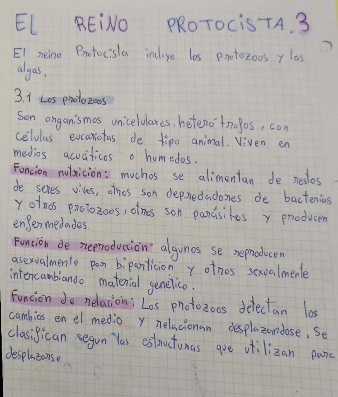 # MICROORGANISMOS

Son microorganismos todos los seres vivos que
pueden verse únicamente mediante el uso del
microscopio

Son: bacterias, pr