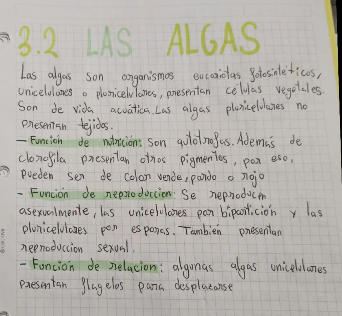 # MICROORGANISMOS

Son microorganismos todos los seres vivos que
pueden verse únicamente mediante el uso del
microscopio

Son: bacterias, pr