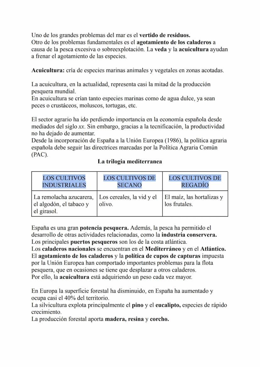 El sector primario:
La agricultura es una de las actividades más destacadas en el sector primario,
tanto porque proporciona la mayor parte d