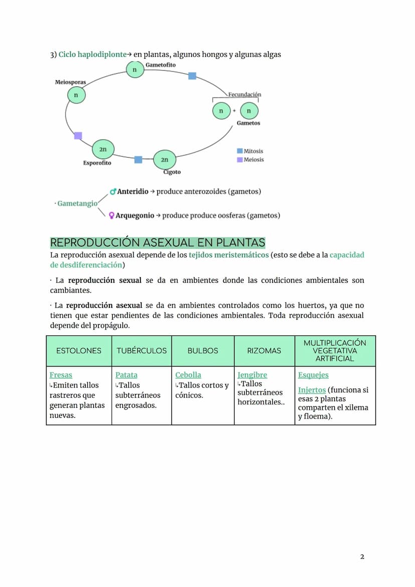 BIOLOGÍA TEMA 7. REPRODUCCIÓN PLANTAS
INTRO FUNCIÓN REPRODUCCIÓN
tipos de reproducción:
- Sexual se necesitan 2 individuos, por medio de la 