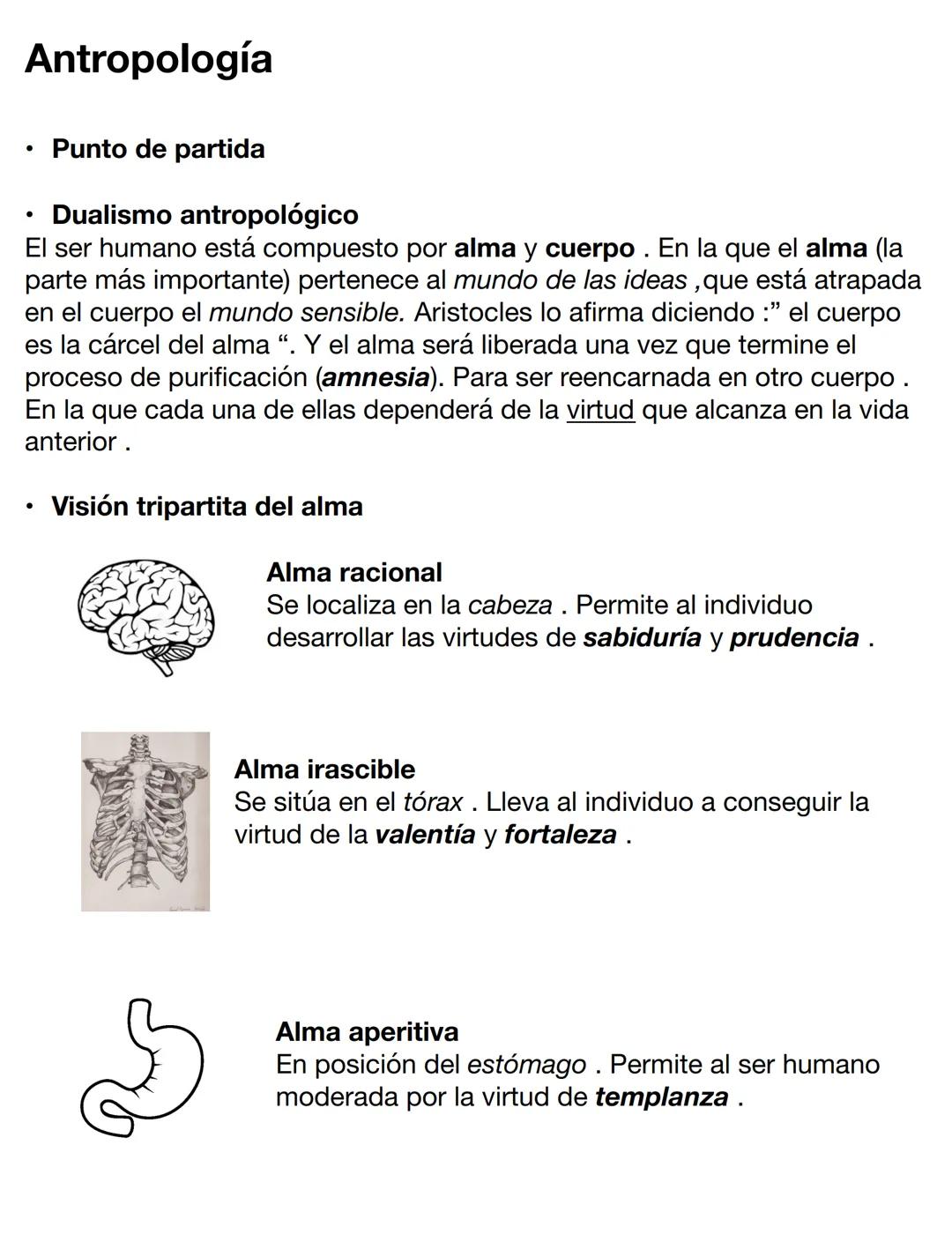 # Platón

Nombre: Aristócles (Platón)
Maestro: Sócrates
Etapa: Edad antigua
Marco histórico:

Atenas (Grecia) siglo IV (427-347
aC) (Siglo d