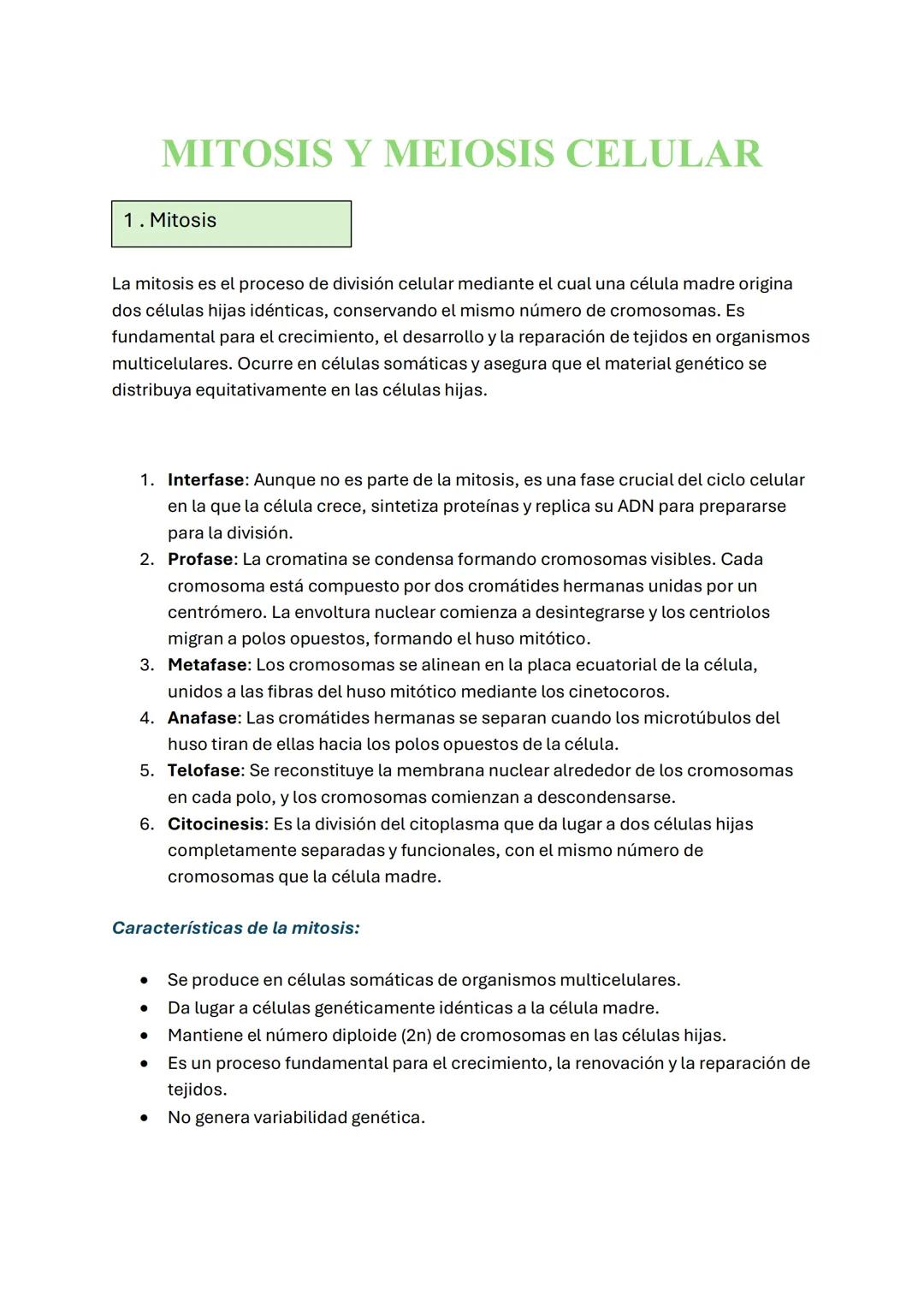 Mitosis y Meiosis: Diferencias y Similitudes Explicadas