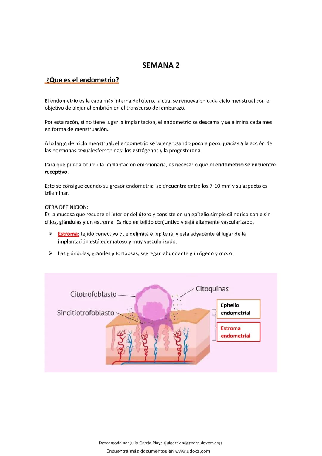 Embriologia
