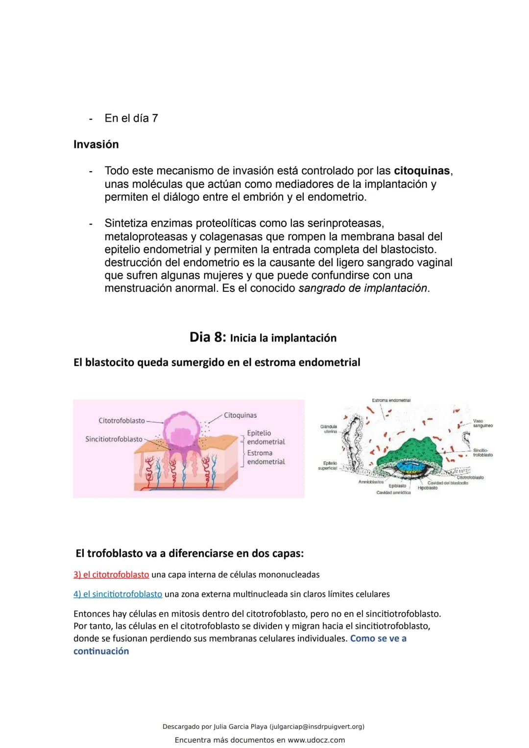 ¿Que es el endometrio?
El endometrio es la capa más interna del útero, la cual se renueva en cada ciclo menstrual con el
objetivo de alojar 