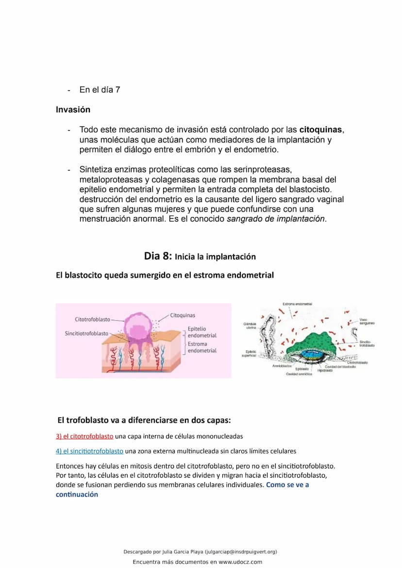 ¿Que es el endometrio?
El endometrio es la capa más interna del útero, la cual se renueva en cada ciclo menstrual con el
objetivo de alojar 