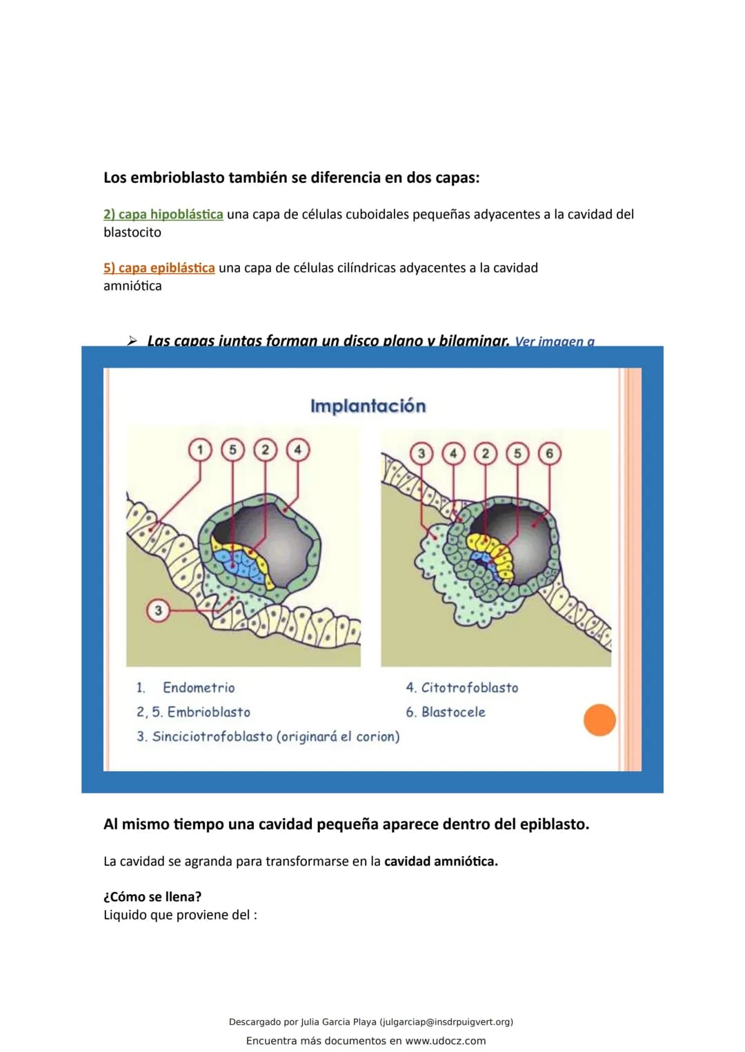 ¿Que es el endometrio?
El endometrio es la capa más interna del útero, la cual se renueva en cada ciclo menstrual con el
objetivo de alojar 
