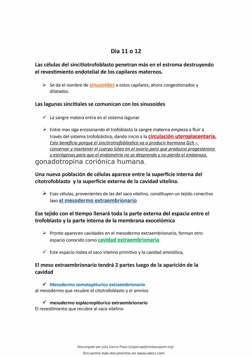 ¿Que es el endometrio?
El endometrio es la capa más interna del útero, la cual se renueva en cada ciclo menstrual con el
objetivo de alojar 