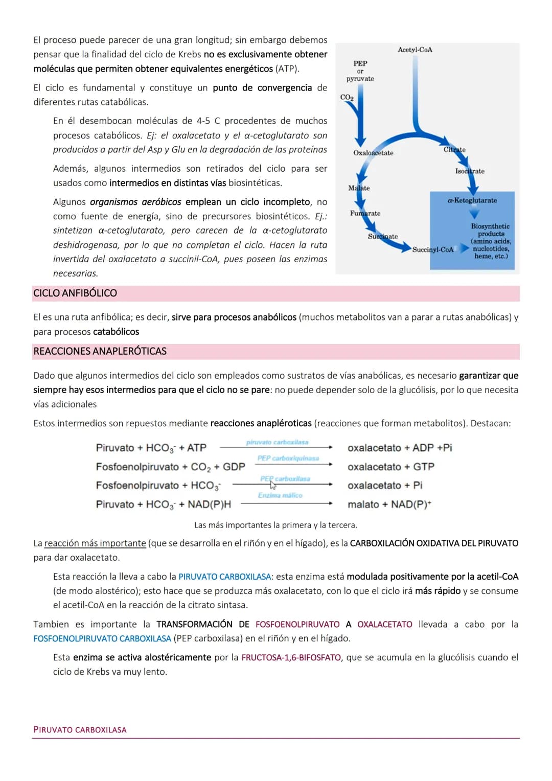 Ciclo de Krebs.
El ciclo de Krebs, de los ácidos tricarboxílicos o del ácido cítrico, consiste en una
serie de reacciones que van a permitir