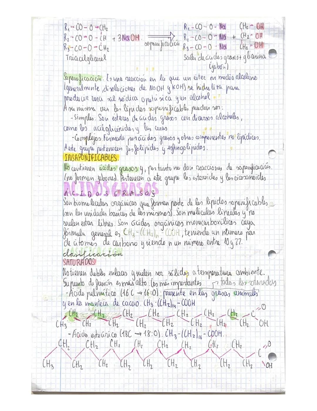 12
# TEMA 4 lipidos
Son biomelecular orgánicas que dan lugar a un grupo muy heterogeneo de
sustancias quimicas ya que mesentan estructures y