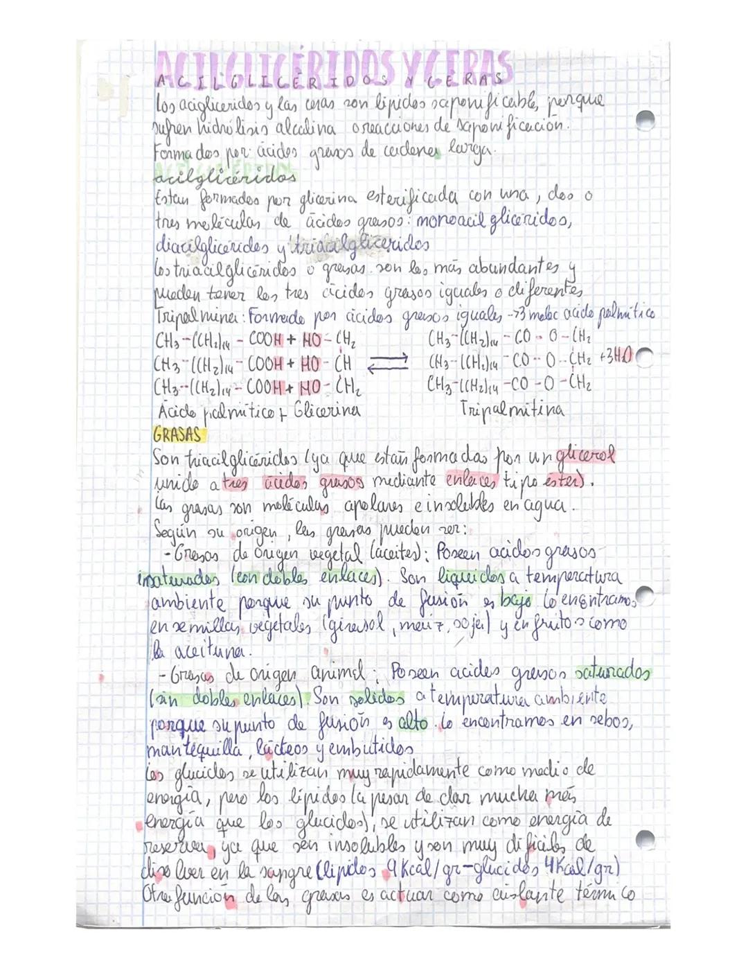 12
# TEMA 4 lipidos
Son biomelecular orgánicas que dan lugar a un grupo muy heterogeneo de
sustancias quimicas ya que mesentan estructures y