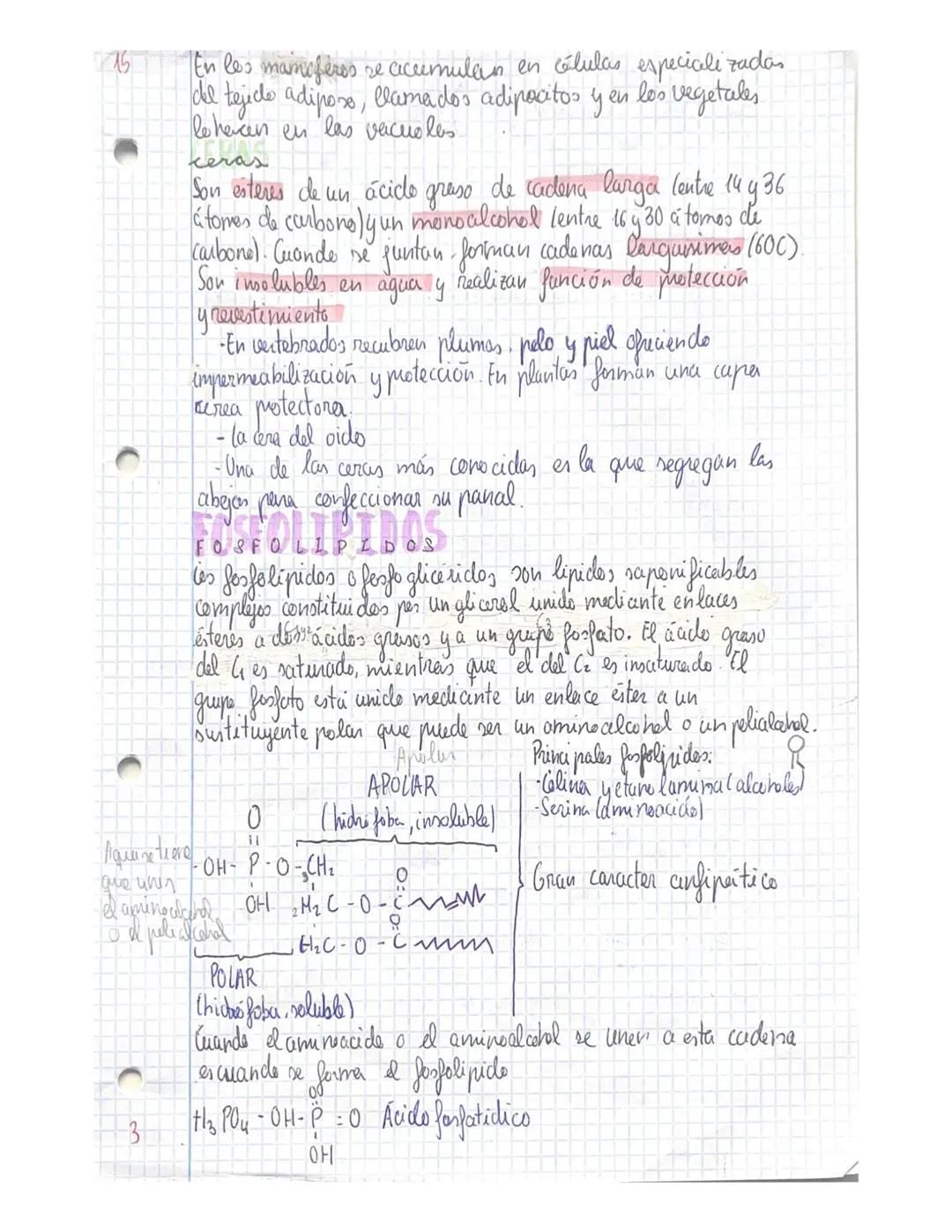 12
# TEMA 4 lipidos
Son biomelecular orgánicas que dan lugar a un grupo muy heterogeneo de
sustancias quimicas ya que mesentan estructures y