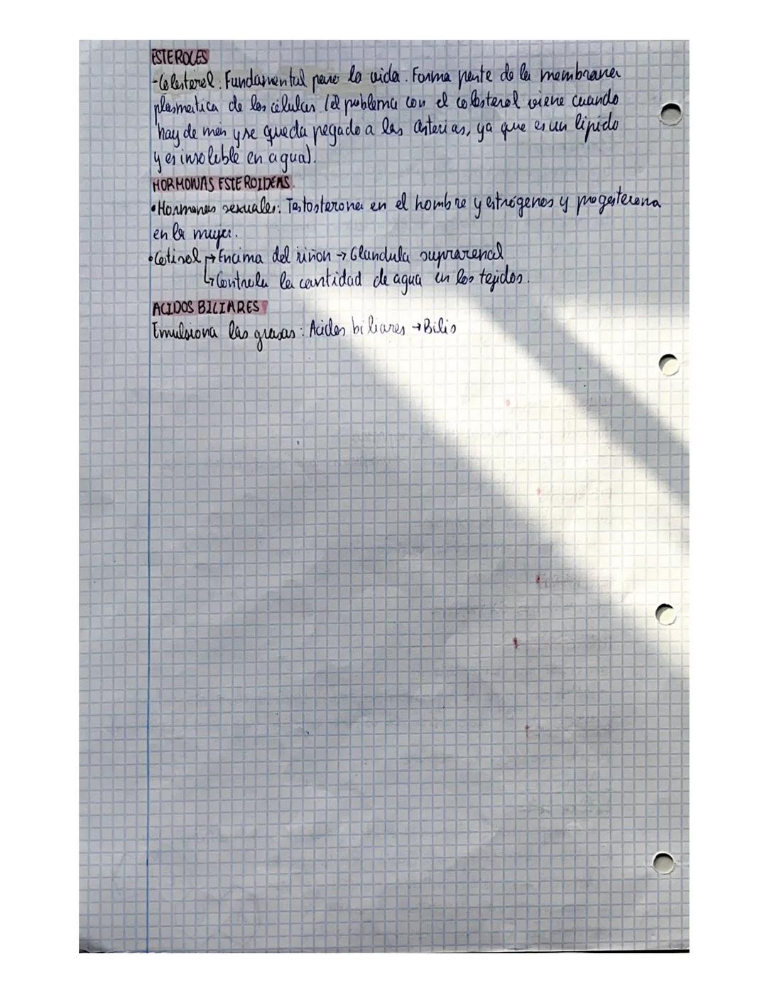 12
# TEMA 4 lipidos
Son biomelecular orgánicas que dan lugar a un grupo muy heterogeneo de
sustancias quimicas ya que mesentan estructures y