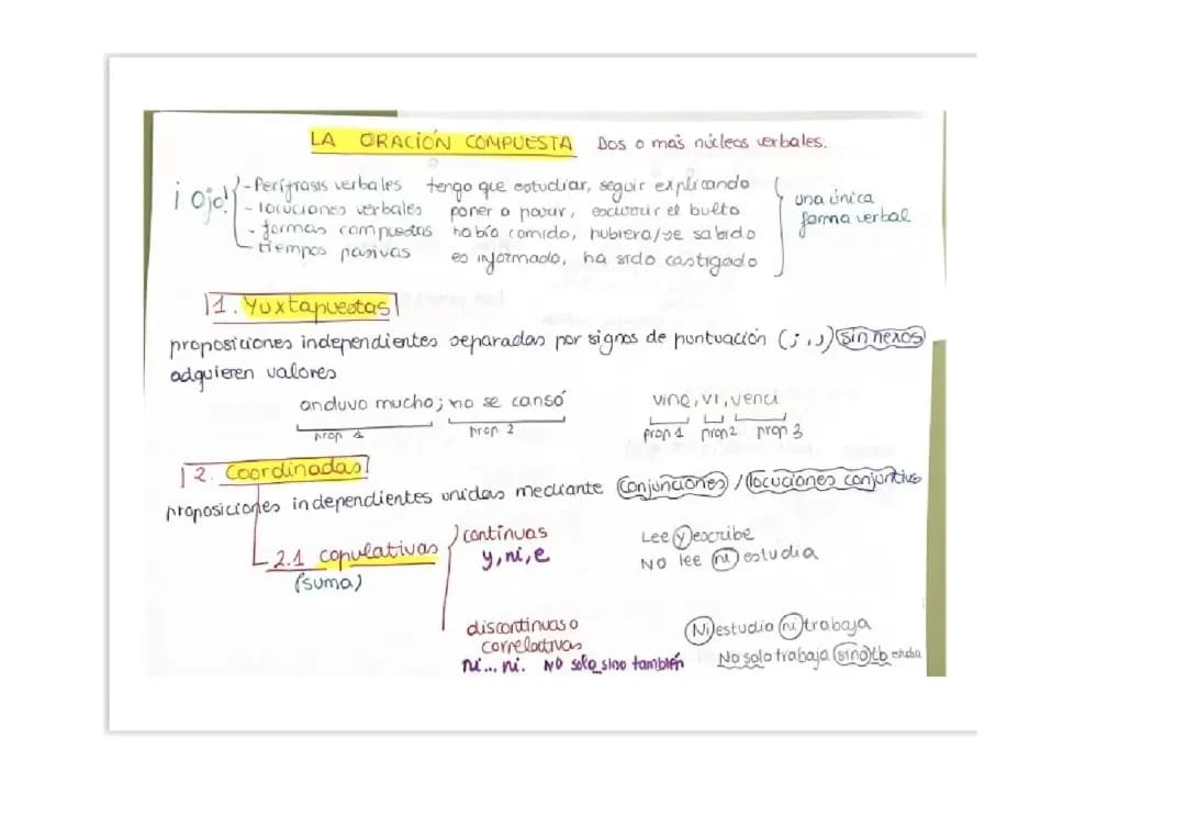 Sintaxis. La oración gramatical.