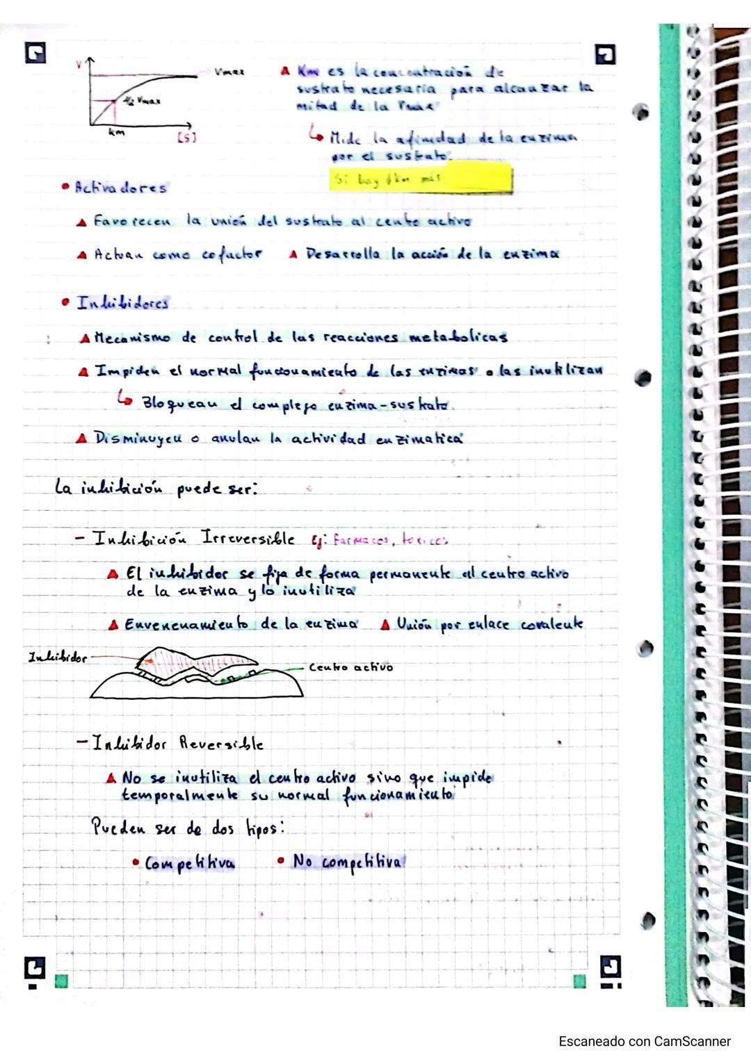 Biologia Bioquimica 2º Bachillerato A

protcinas (Tema 4)

Conceptor

19/11/23

•Molewlas formadas por los bioelementos primarios (CHONPS)


