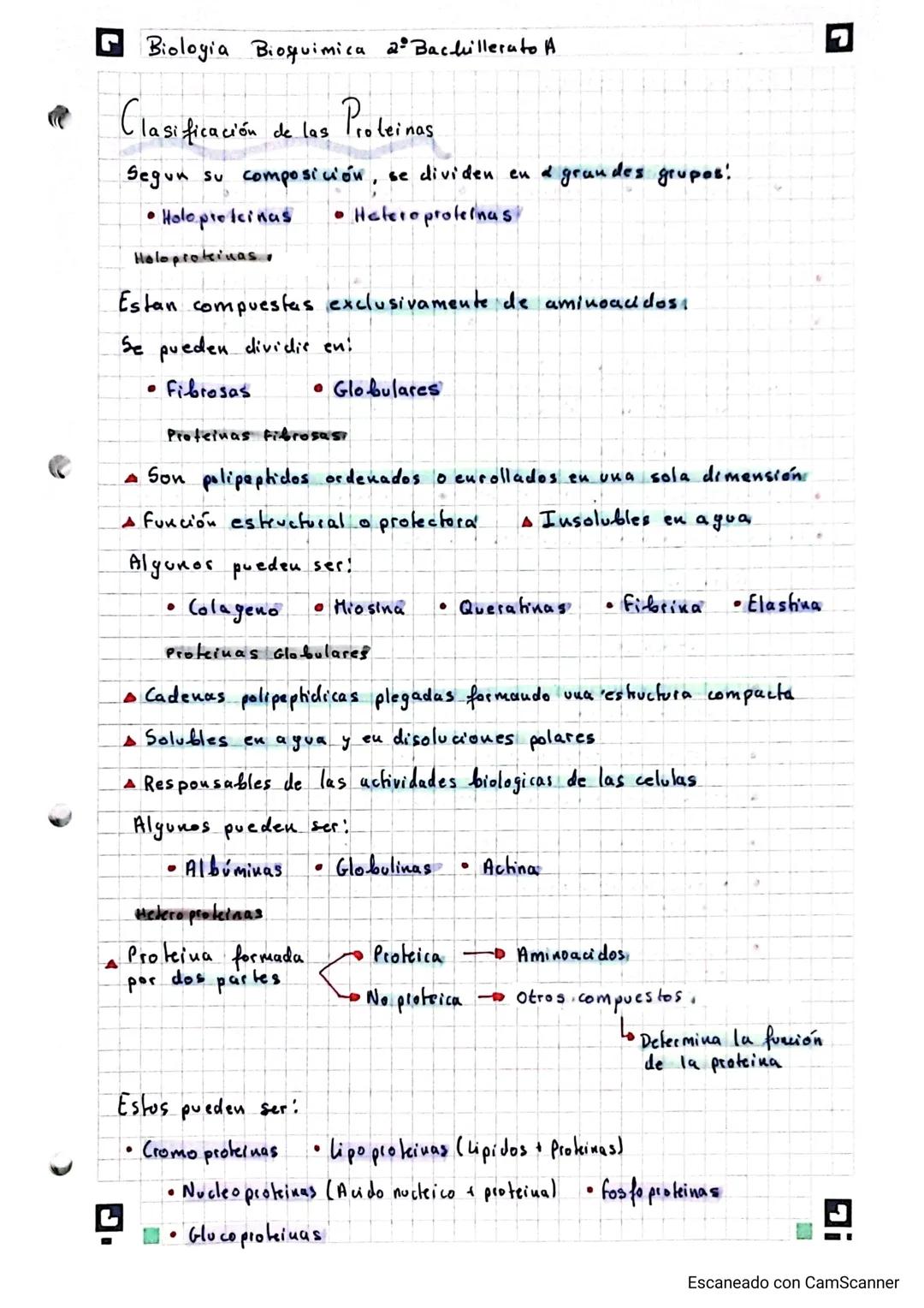 Biologia Bioquimica 2º Bachillerato A

protcinas (Tema 4)

Conceptor

19/11/23

•Molewlas formadas por los bioelementos primarios (CHONPS)

