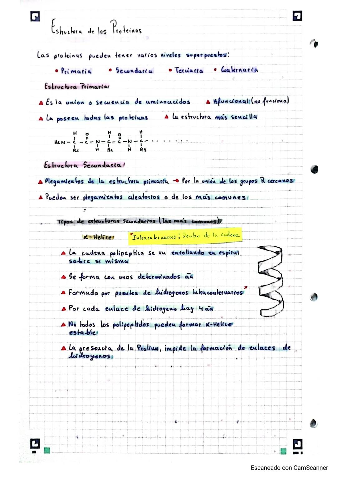 Biologia Bioquimica 2º Bachillerato A

protcinas (Tema 4)

Conceptor

19/11/23

•Molewlas formadas por los bioelementos primarios (CHONPS)

