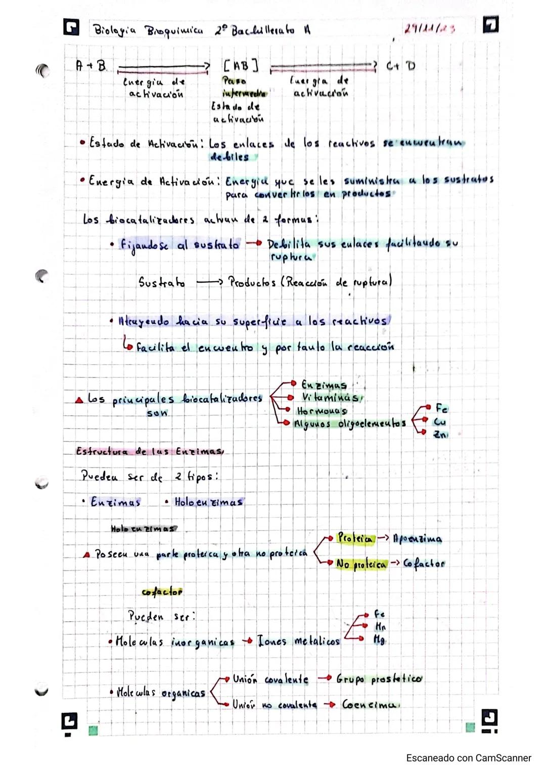 Biologia Bioquimica 2º Bachillerato A

protcinas (Tema 4)

Conceptor

19/11/23

•Molewlas formadas por los bioelementos primarios (CHONPS)

