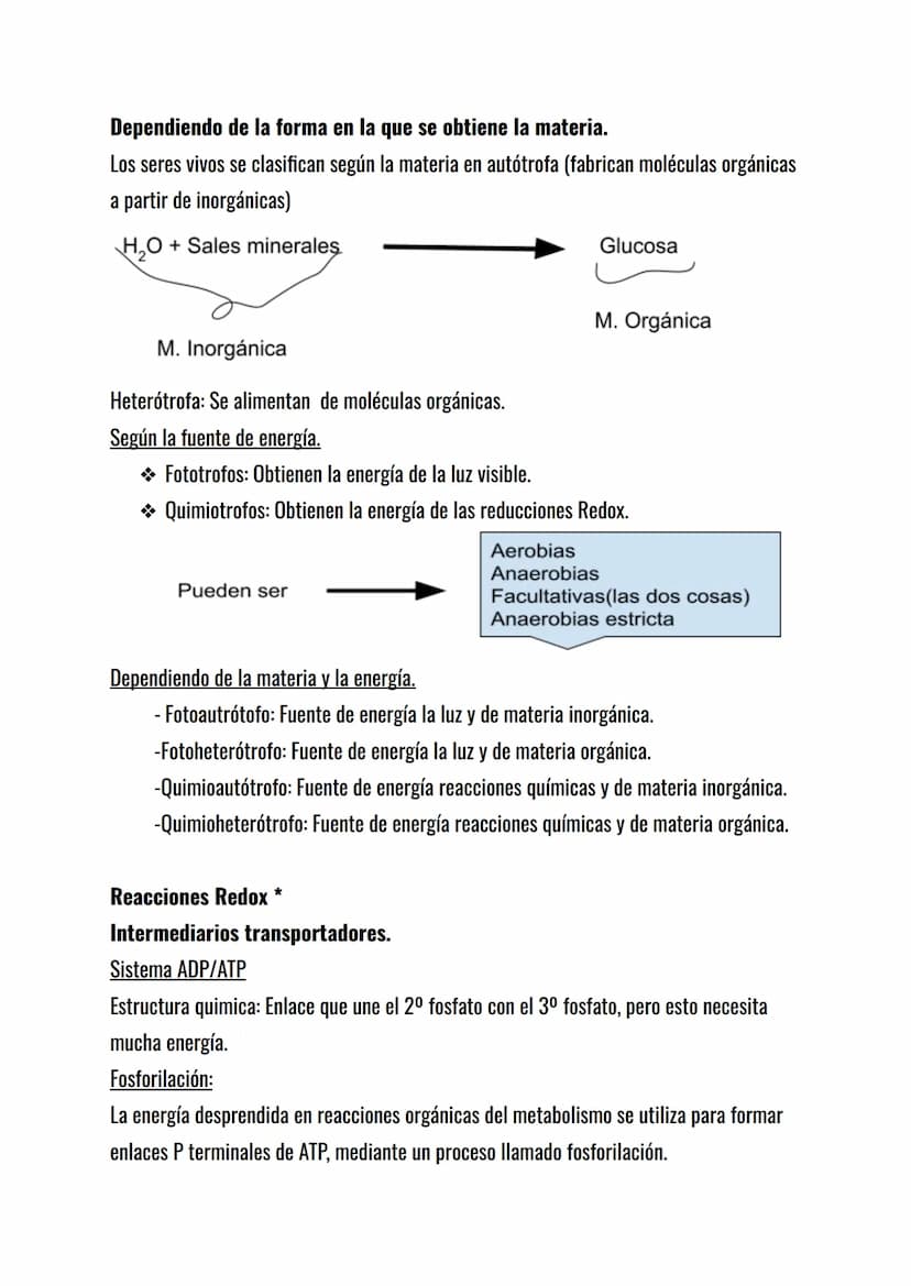 El metabolismo celular.
El metabolismo celular es el conjunto de reacciones químicas que mantienen la vida de
la célula: sin metabolismo no 