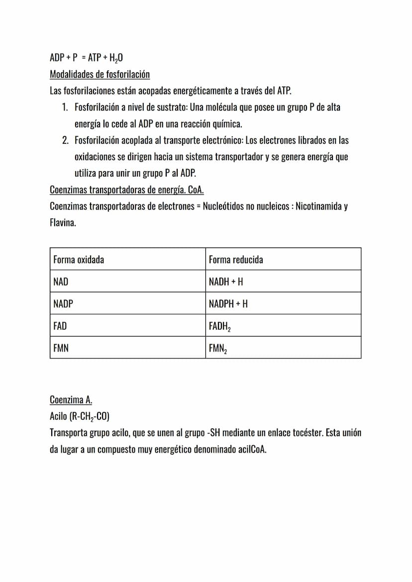 El metabolismo celular.
El metabolismo celular es el conjunto de reacciones químicas que mantienen la vida de
la célula: sin metabolismo no 