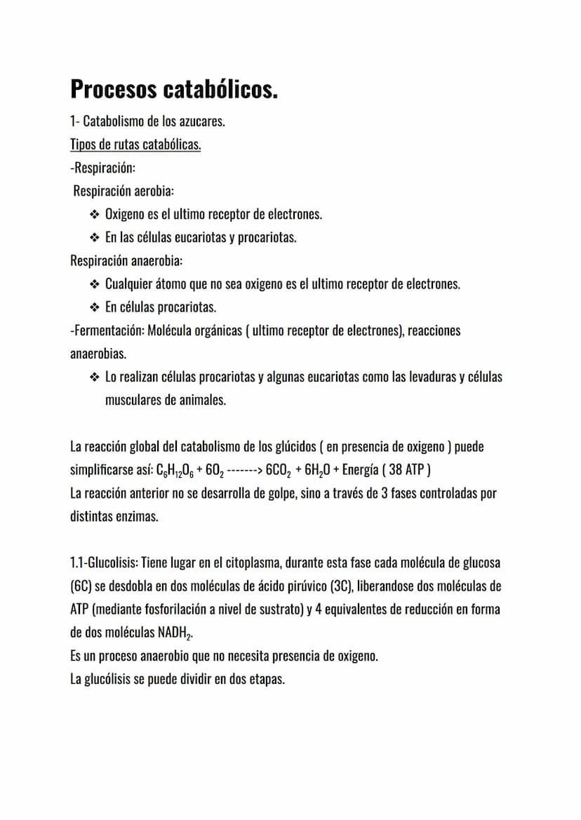 El metabolismo celular.
El metabolismo celular es el conjunto de reacciones químicas que mantienen la vida de
la célula: sin metabolismo no 