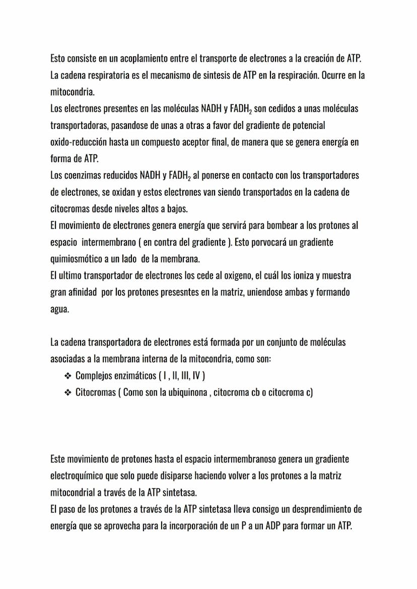 El metabolismo celular.
El metabolismo celular es el conjunto de reacciones químicas que mantienen la vida de
la célula: sin metabolismo no 