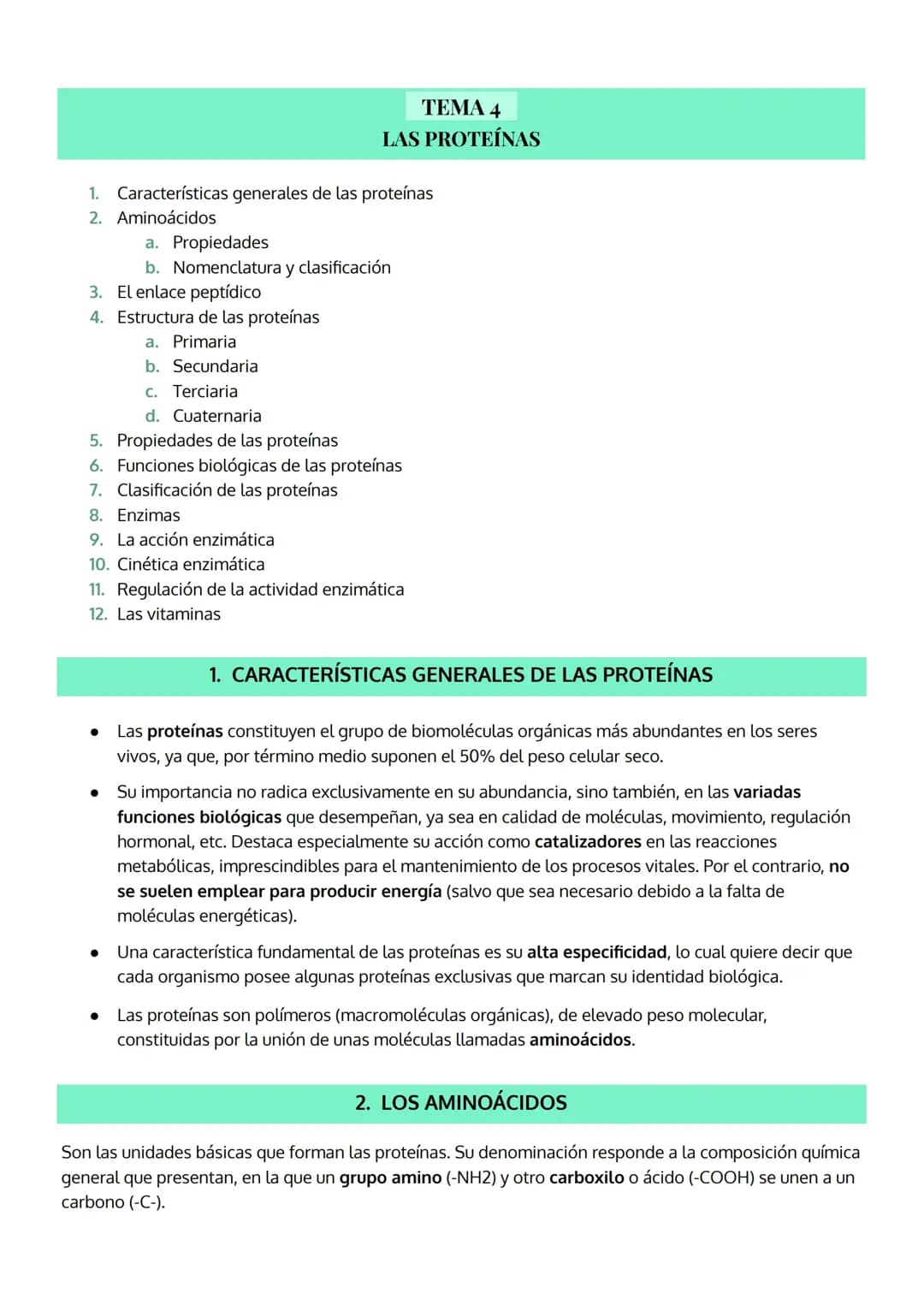 La importancia de los aminoácidos y las enzimas en el organismo
