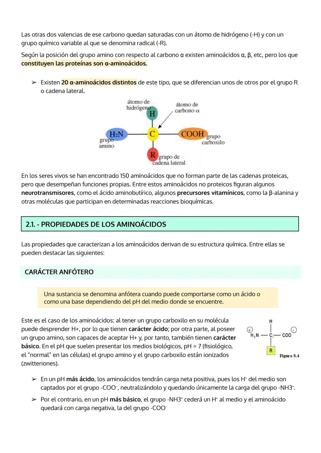 
<p>Las proteínas son el grupo de biomoléculas orgánicas más abundantes en los seres vivos, representando un 50% del peso celular seco en pr