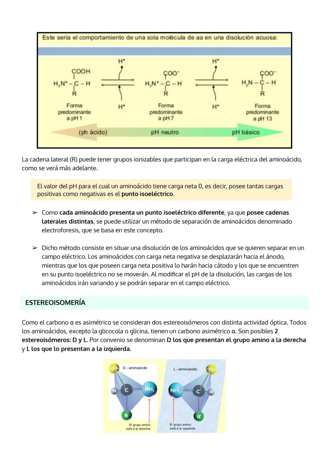 
<p>Las proteínas son el grupo de biomoléculas orgánicas más abundantes en los seres vivos, representando un 50% del peso celular seco en pr