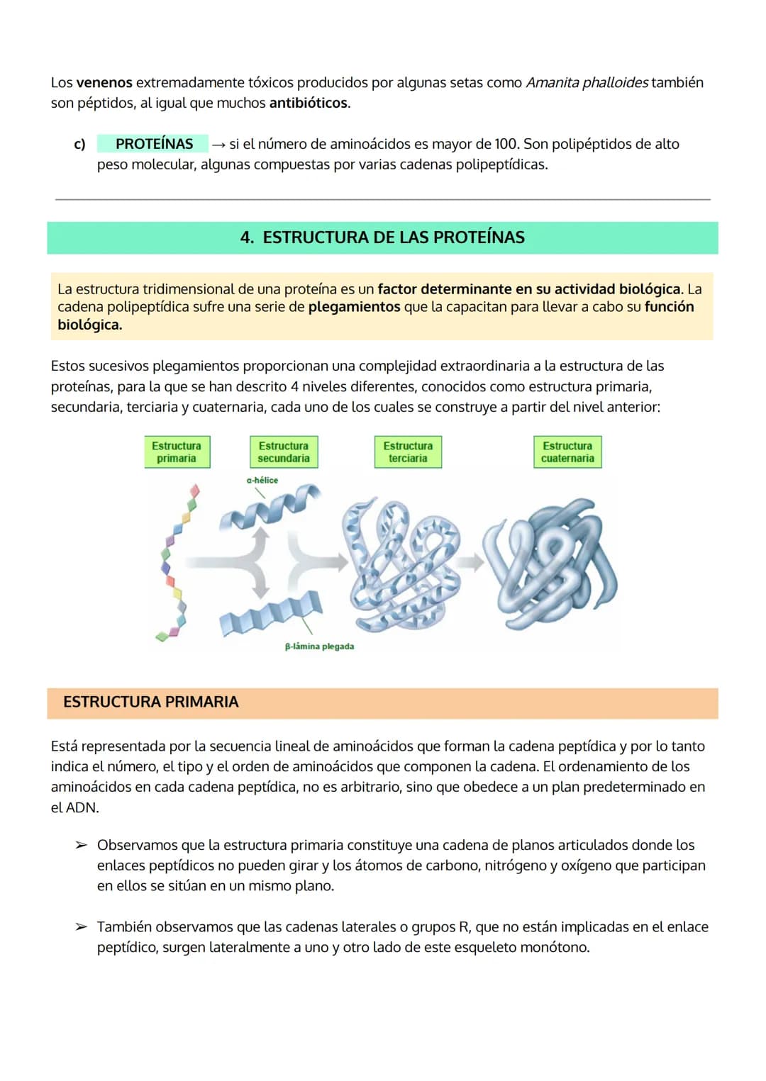 
<p>Las proteínas son el grupo de biomoléculas orgánicas más abundantes en los seres vivos, representando un 50% del peso celular seco en pr