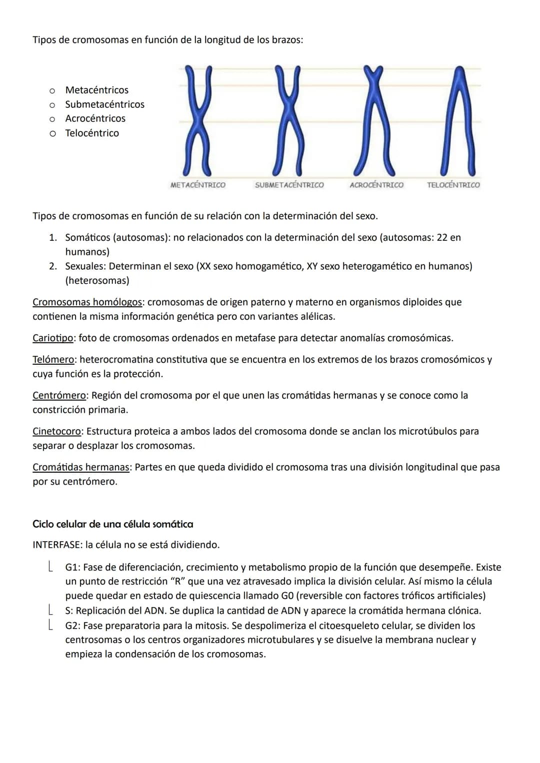 NÚCLEO, CICLO Y DICISIÓN CELULAR
Núcleo celular
Estructura de doble membrana característica de la célula eucariota que contiene el ADN celul