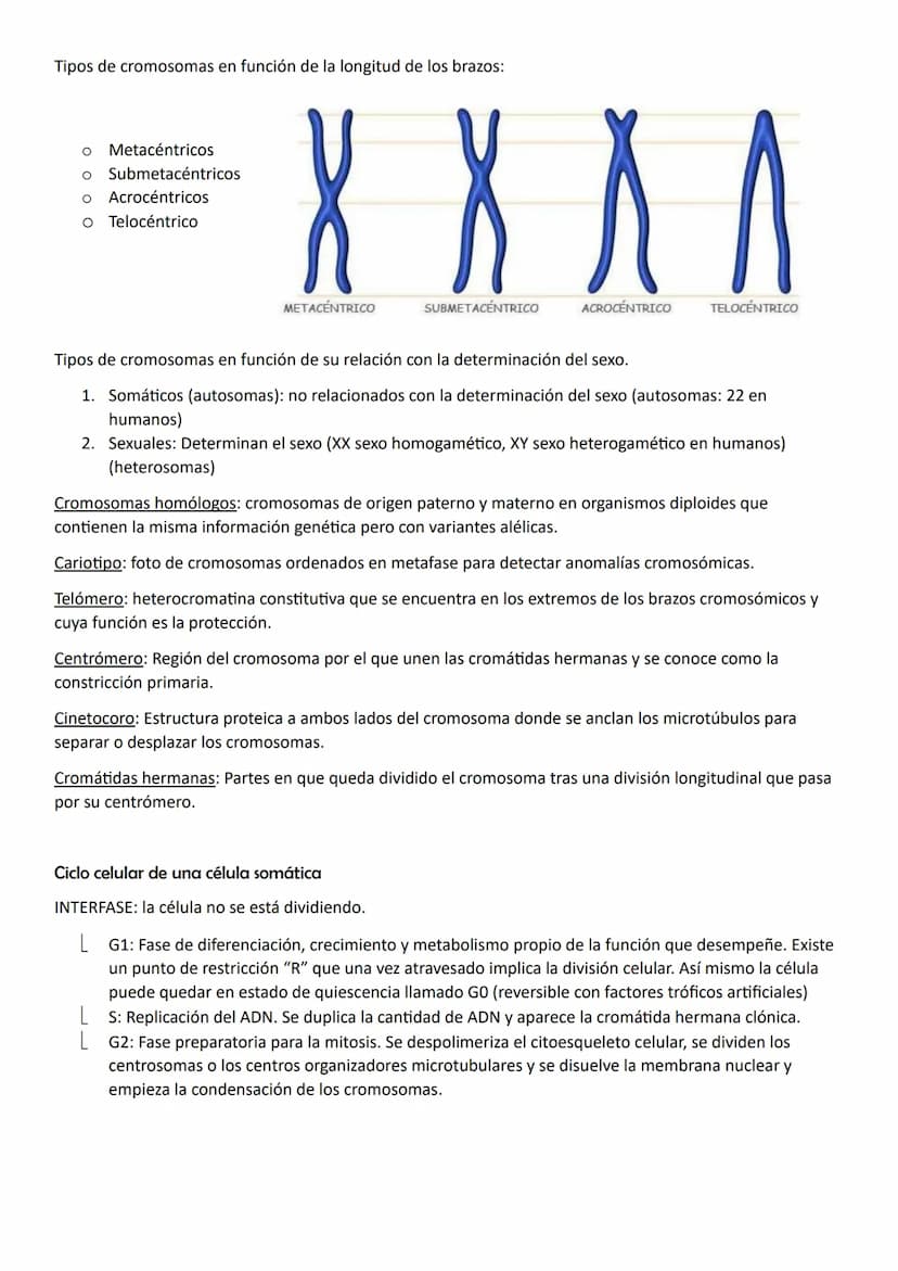 NÚCLEO, CICLO Y DICISIÓN CELULAR
Núcleo celular
Estructura de doble membrana característica de la célula eucariota que contiene el ADN celul