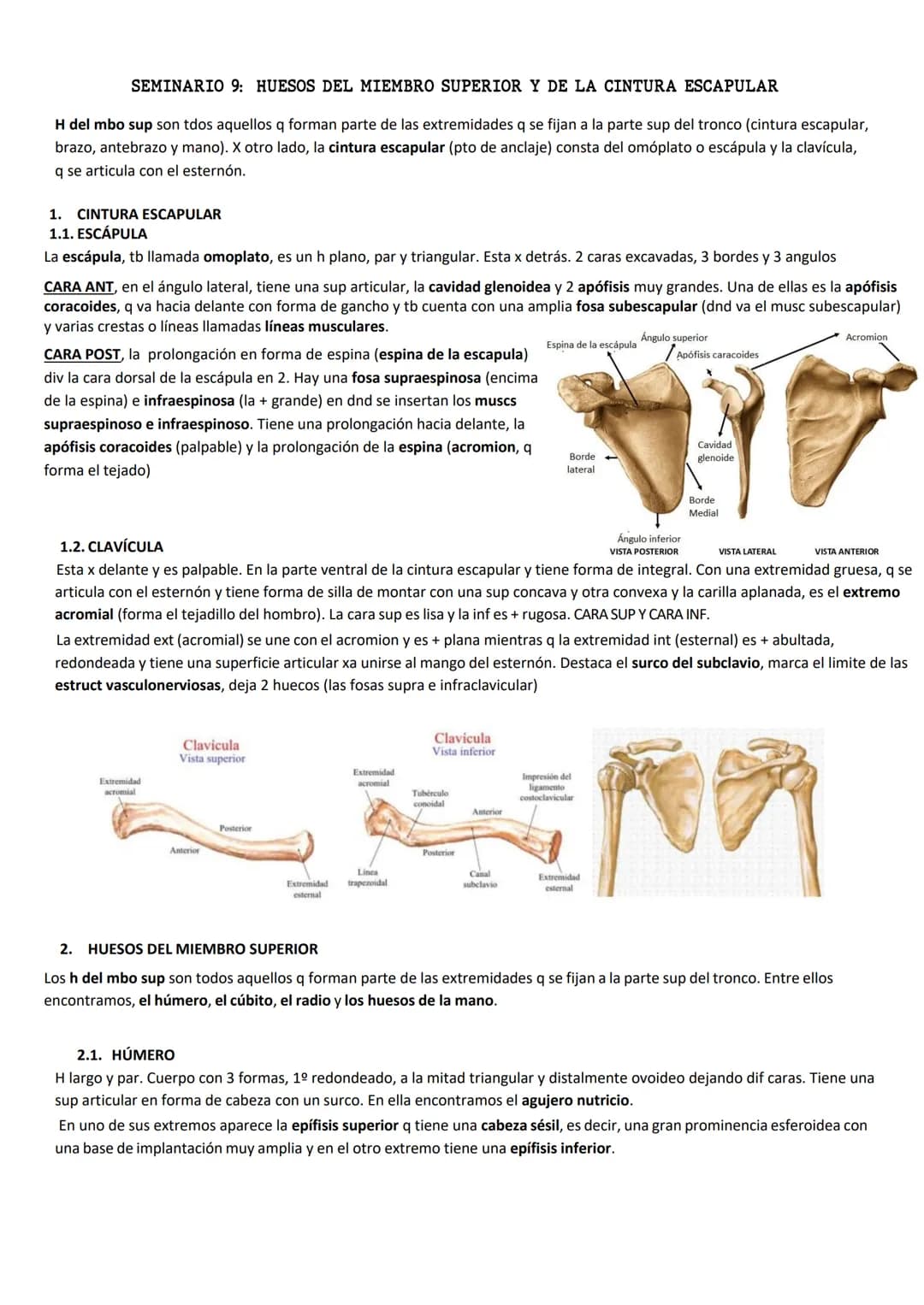 SEMINARIO 9: HUESOS DEL MIEMBRO SUPERIOR Y DE LA CINTURA ESCAPULAR
H del mbo sup son tdos aquellos q forman parte de las extremidades q se f