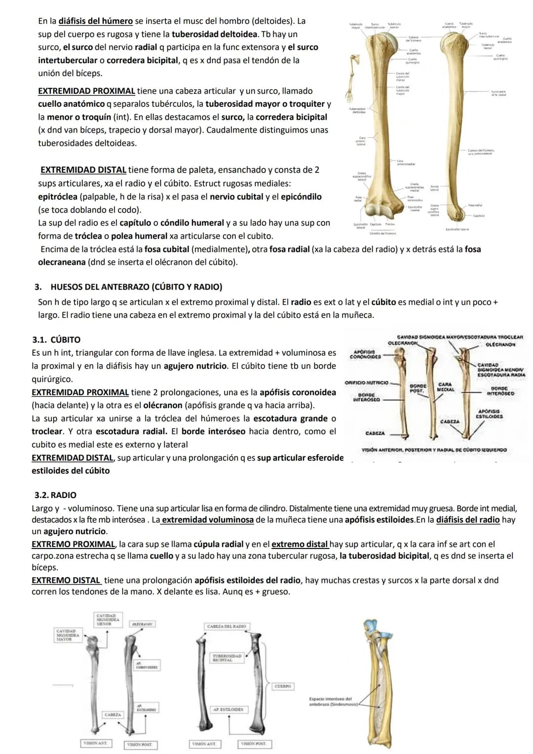 SEMINARIO 9: HUESOS DEL MIEMBRO SUPERIOR Y DE LA CINTURA ESCAPULAR
H del mbo sup son tdos aquellos q forman parte de las extremidades q se f