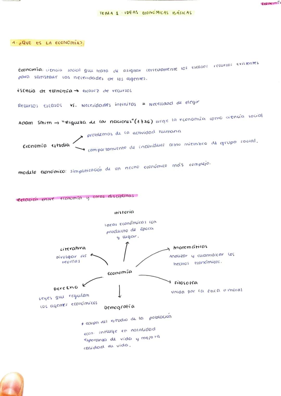 Conceptos Fundamentales de la Economía: Tema 1