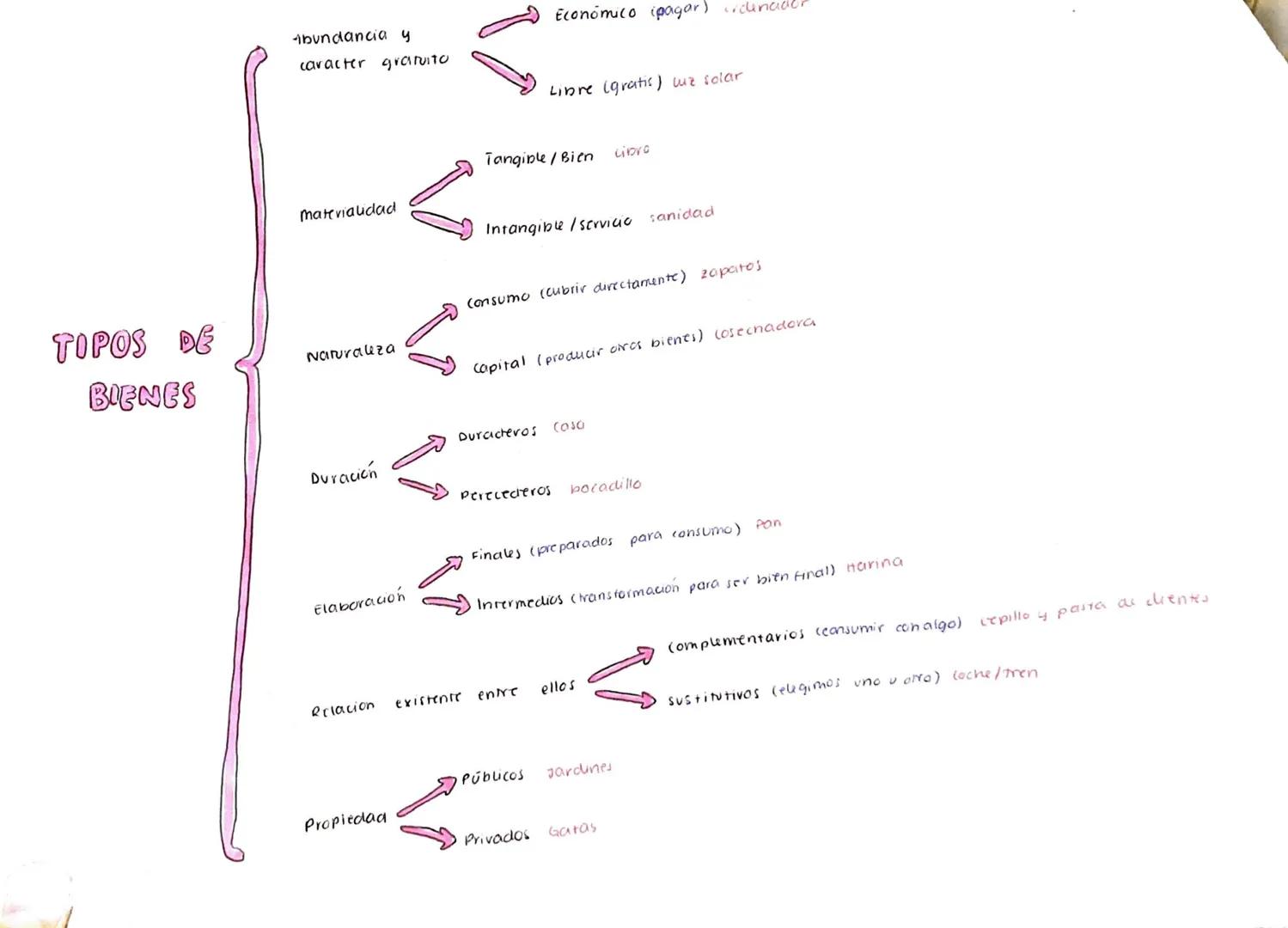 1. ¿QUE ES LA ECONOMIA?
Economia: ciencia social que trata
de asignar correctamente los
para satistaur las necesidades de los agentes.
Esenc