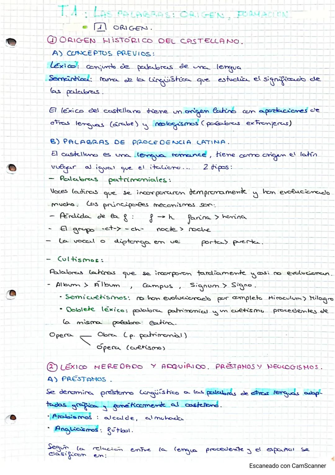 T1 Lengua: Origen, Formación y Significado de las Palabras