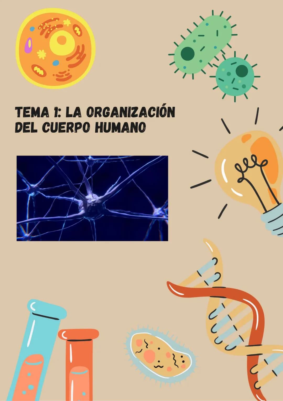TEMA 1: LA ORGANIZACIÓN
DEL CUERPO HUMANO
}: ÍNDICE
1. Los niveles de organización..........
2. Variedades de la célula..........
2.1. Tipos