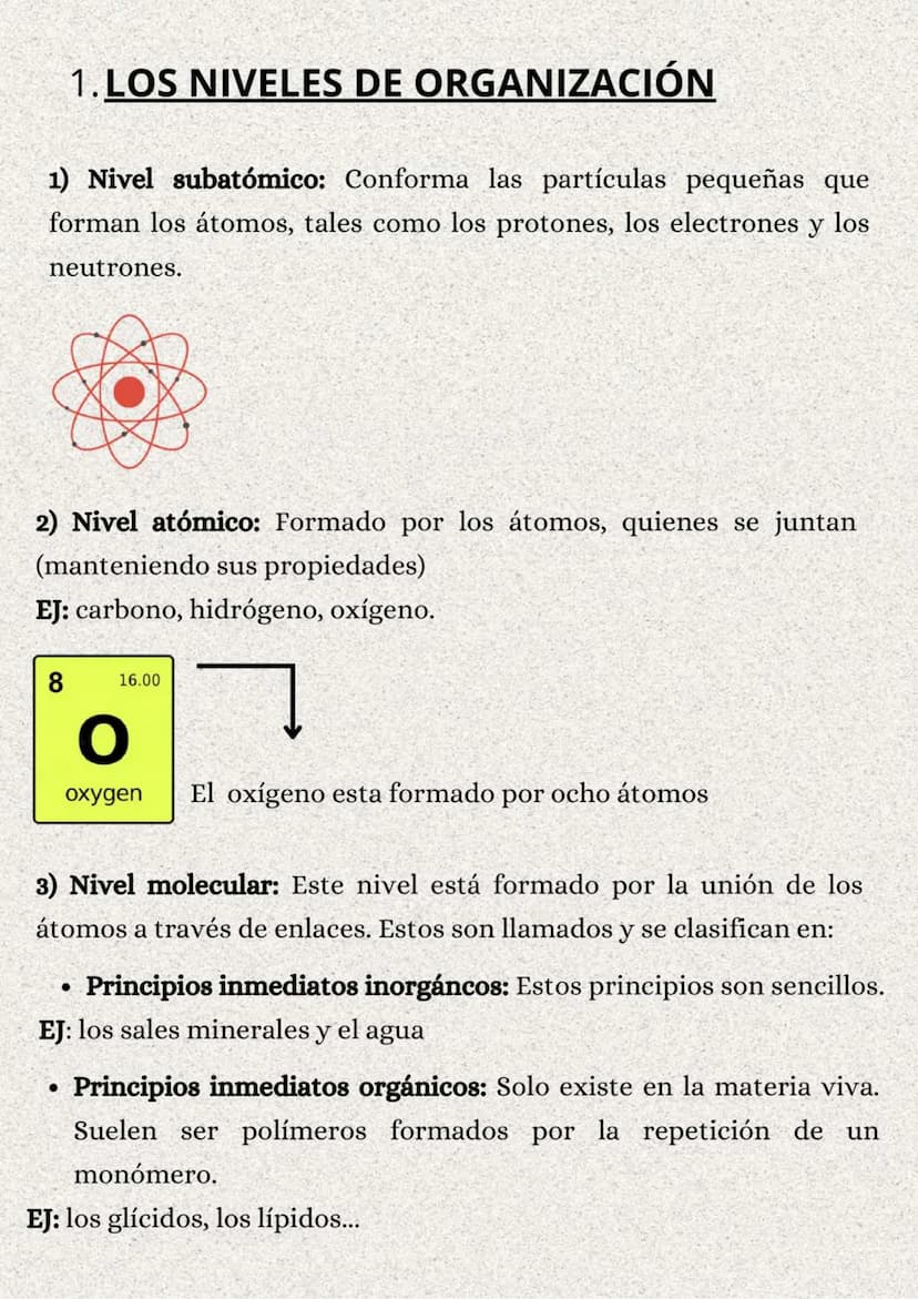 TEMA 1: LA ORGANIZACIÓN
DEL CUERPO HUMANO
}: ÍNDICE
1. Los niveles de organización..........
2. Variedades de la célula..........
2.1. Tipos