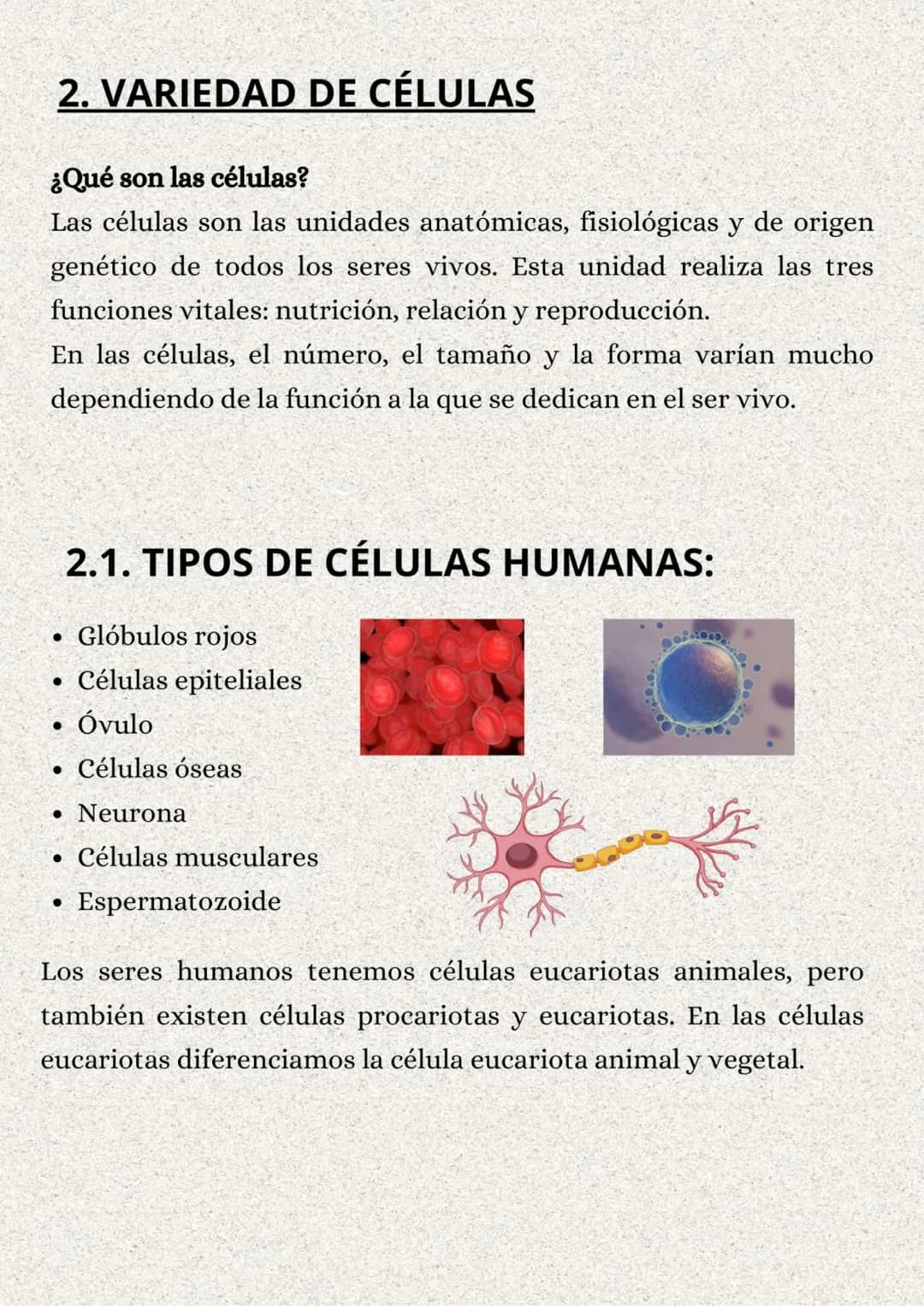 TEMA 1: LA ORGANIZACIÓN
DEL CUERPO HUMANO
}: ÍNDICE
1. Los niveles de organización..........
2. Variedades de la célula..........
2.1. Tipos